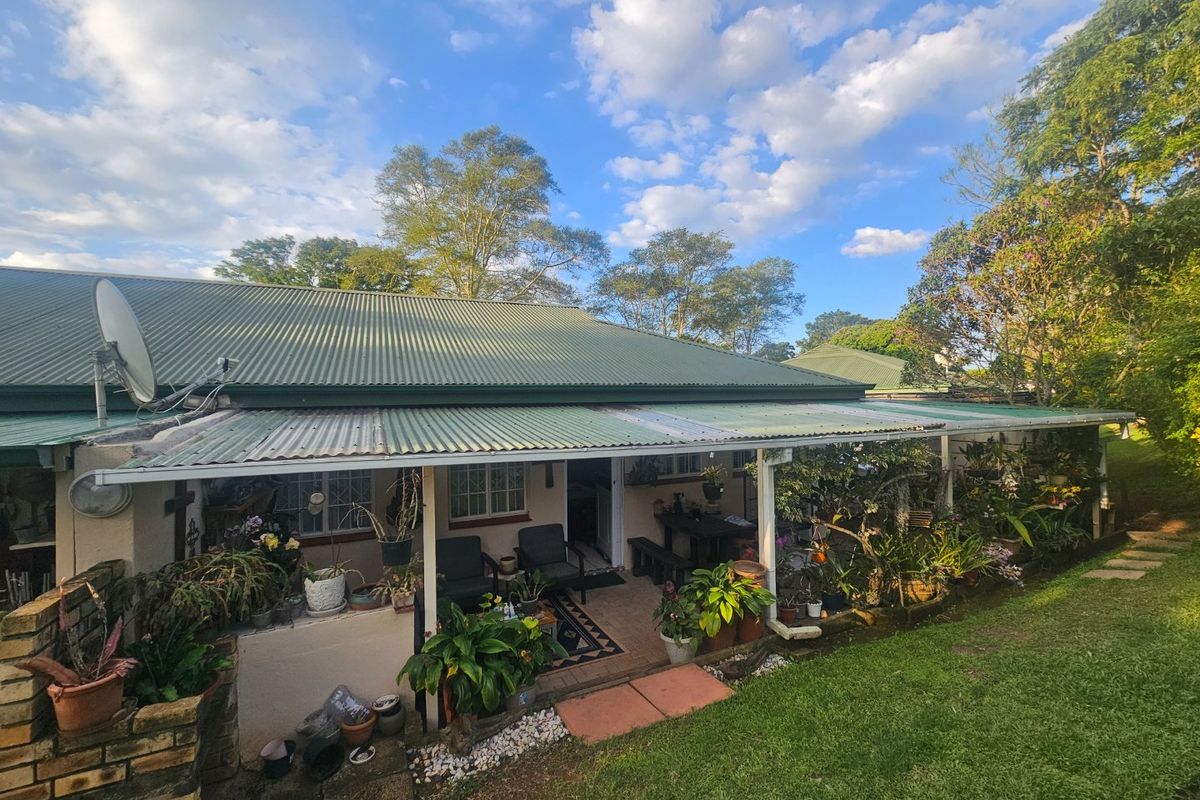 Rear view of the property featuring a covered patio area, corrugated metal roofing, and a brick retaining wall set within a garden space.