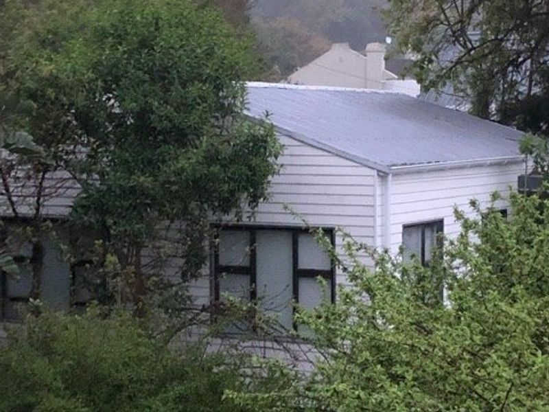 A view of the rear exterior of a weatherboard house featuring a corrugated metal roof and aluminium window frames, partially obscured by garden foliage.
