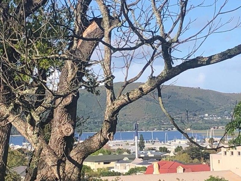 A scenic elevated view overlooking the local town, harbour, and distant mountains, framed by mature trees.
