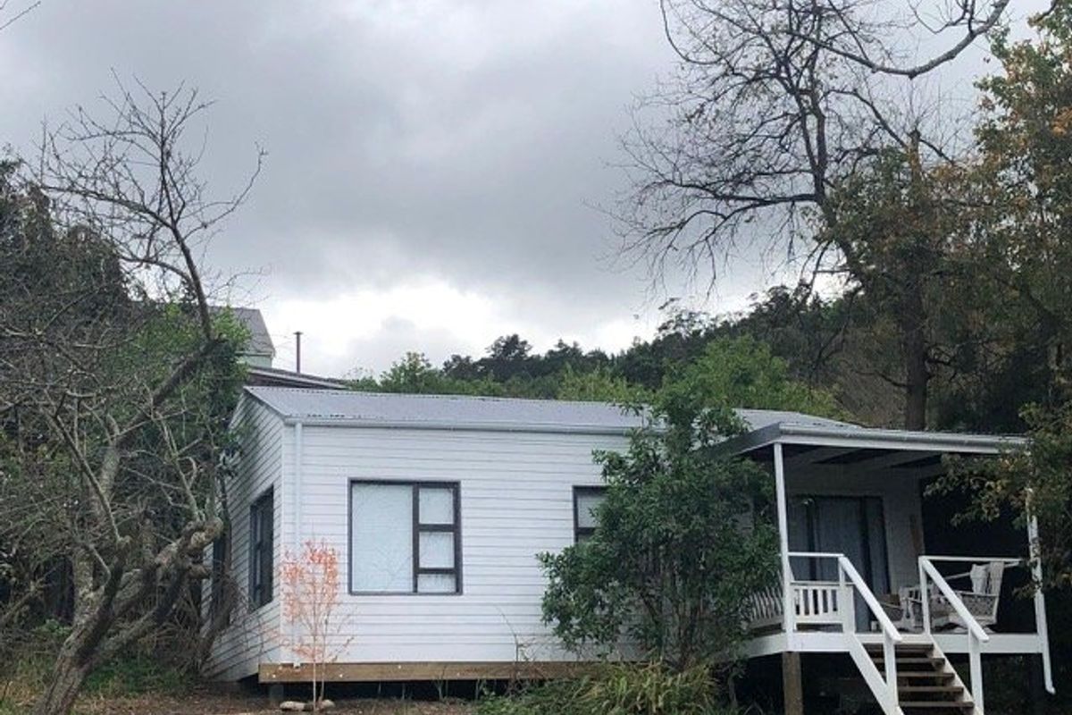 Rear view of a single-story house featuring white weatherboard cladding, a corrugated metal roof, and a raised timber deck with a covered patio area.
