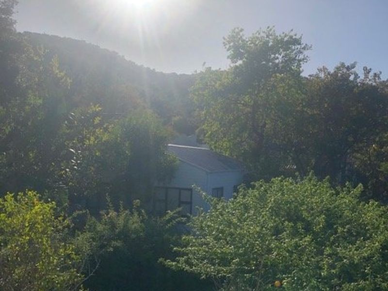 A view of the property exterior partially obscured by dense trees and foliage under bright sunlight.