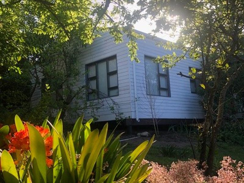 A view of the rear exterior of the house featuring white weatherboard cladding and aluminium framed windows, set within a mature garden.