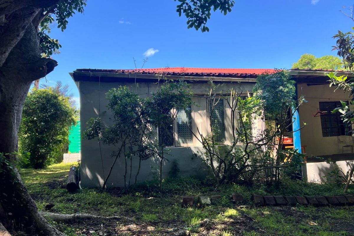Rear view of the farm dwelling featuring a metal roof, security-barred windows, and surrounding garden area.