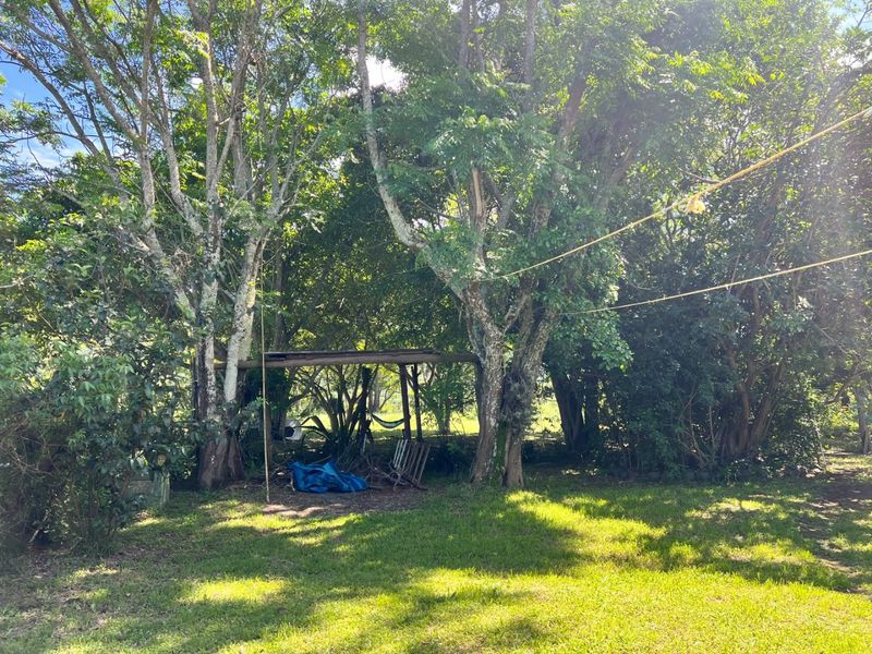 A lush, tree-filled garden area featuring a rustic timber structure and expansive lawn, offering a natural and tranquil outdoor setting.