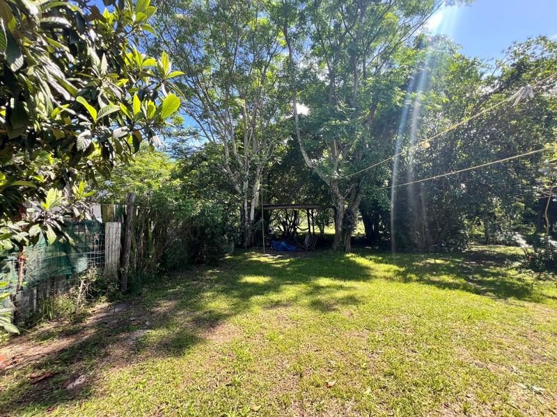 A spacious, tree-lined garden area featuring established trees, a grass lawn, and perimeter wire mesh fencing.