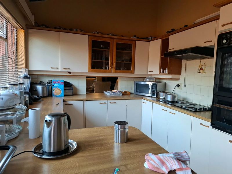 A functional kitchen featuring built-in cabinetry, laminate countertops, a built-in oven, and a hob with an extractor fan.
