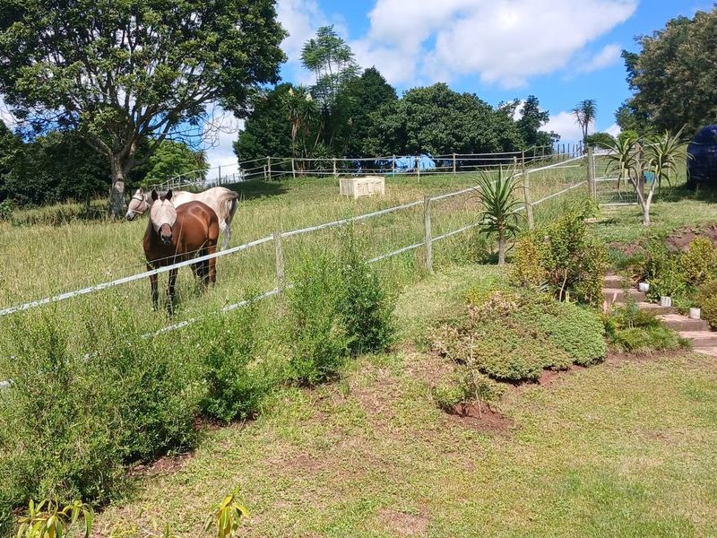 A well-maintained garden area featuring post and rail fencing, established landscaping, and stone steps leading through the property grounds.
