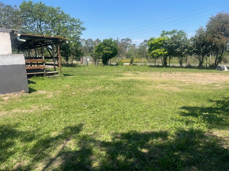 A spacious outdoor garden area featuring a simple covered patio structure and established trees, offering potential for landscaping or outdoor development.