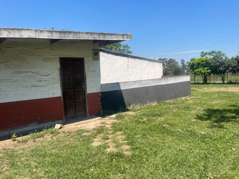 Rear exterior view of a commercial building featuring painted brick walls, a concrete roof overhang, and a timber entrance door set in a grassy area.