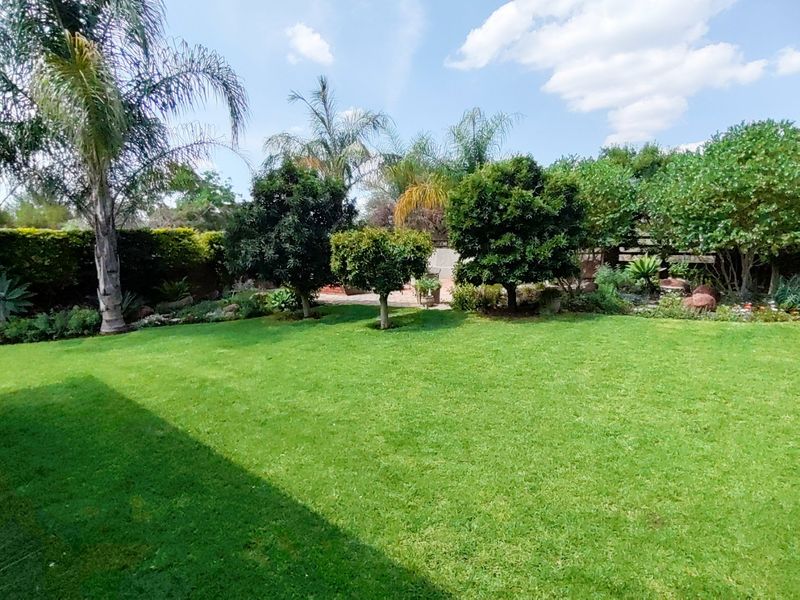 A well-maintained, spacious private garden featuring a lush green lawn, mature trees, and established perimeter hedging.