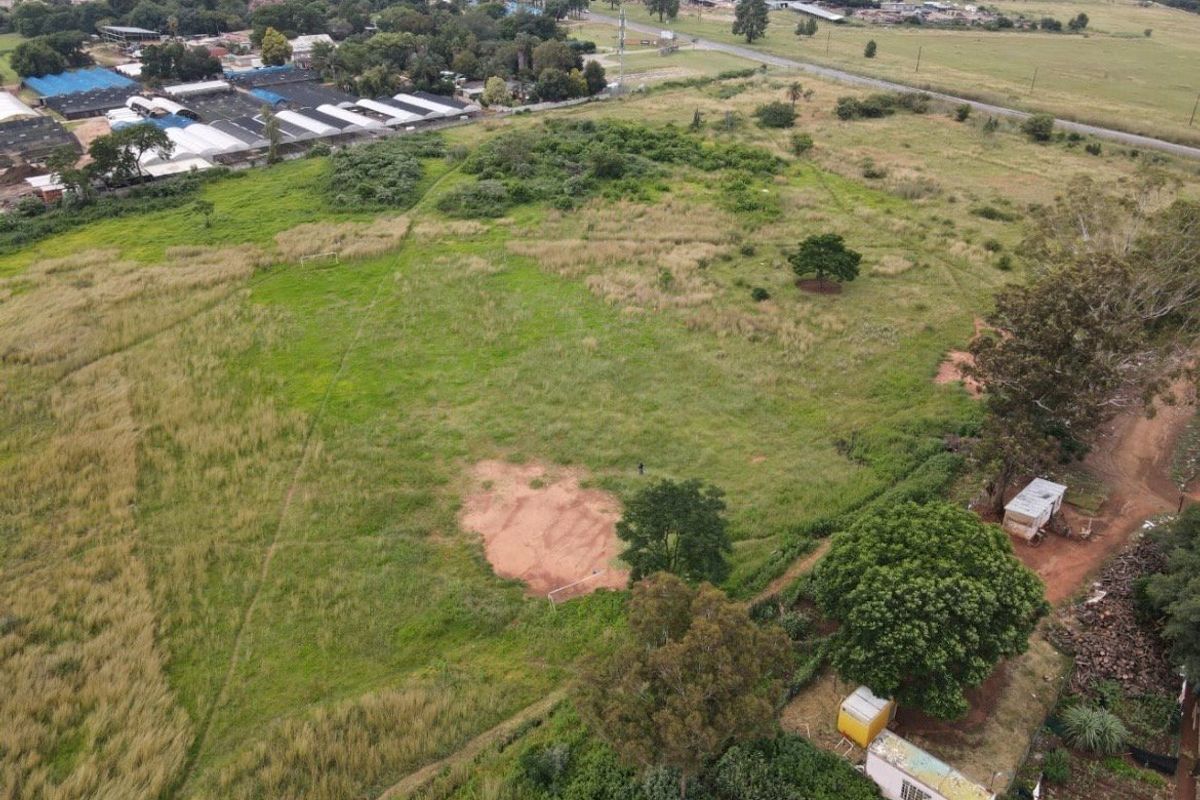 An aerial view of a large, undeveloped residential plot featuring open grassland and mature trees.