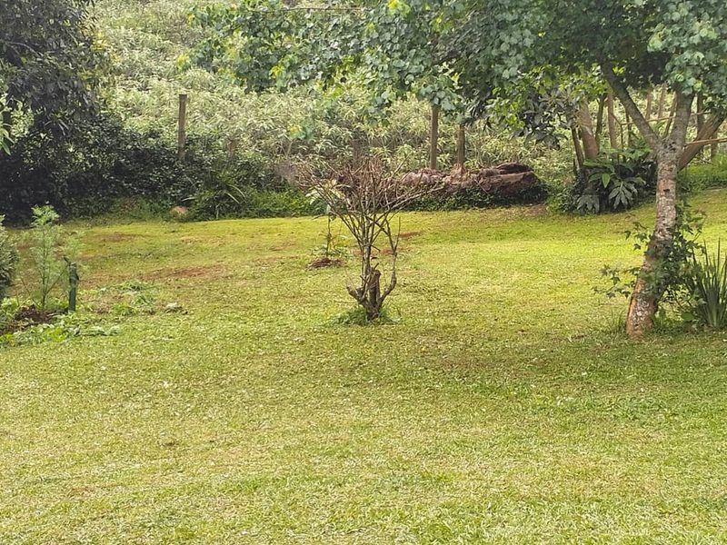 A spacious, established garden area featuring a well-maintained lawn, mature trees, and perimeter fencing, offering a private outdoor space.