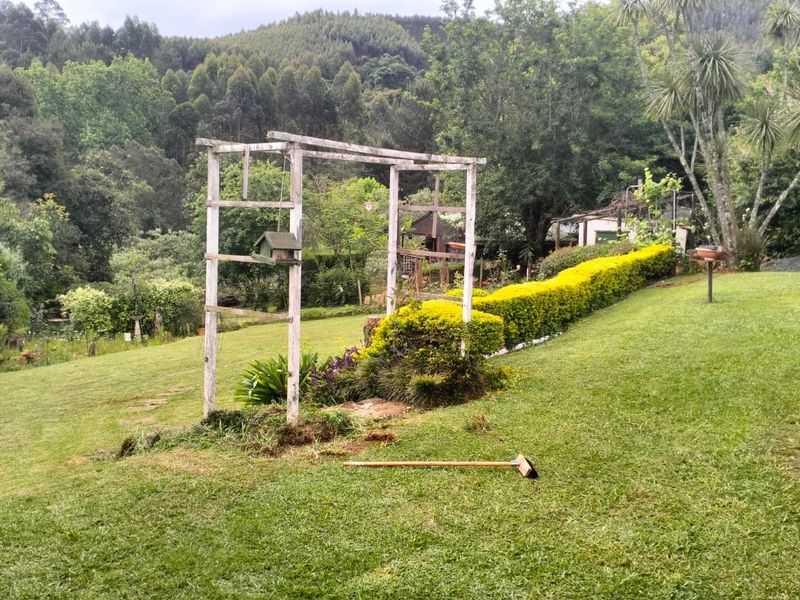 A spacious garden area featuring a lawn, a manicured hedge, and a wooden garden arch set against a backdrop of lush trees.