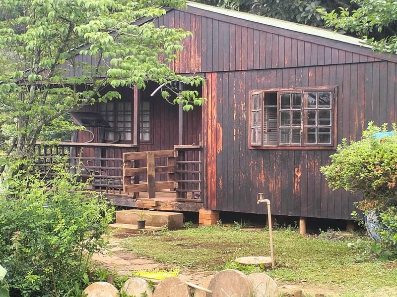 A rustic timber cabin featuring a small wooden deck, timber-framed windows, and weathered exterior cladding set within a garden environment.