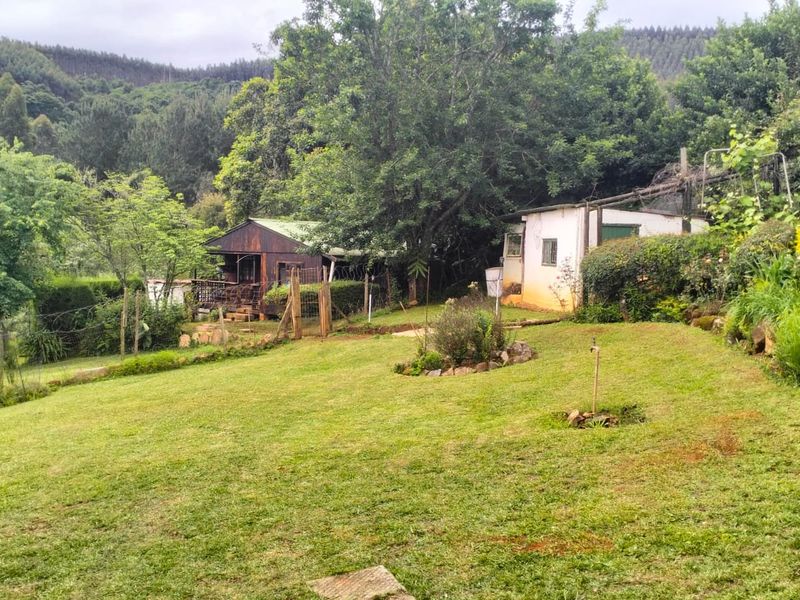 A spacious, sloped garden area featuring mature trees, established landscaping, and views of the surrounding forested hills.