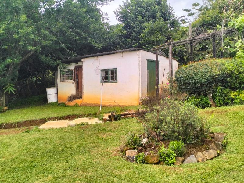 A detached outbuilding situated in a garden setting, featuring a timber pergola and basic exterior finishes requiring maintenance.