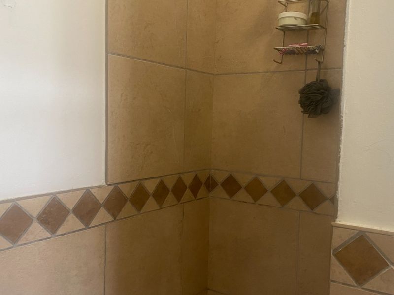 A bathroom shower area featuring dated ceramic wall tiles with a decorative diamond-patterned border, requiring cosmetic updates to improve the overall aesthetic.