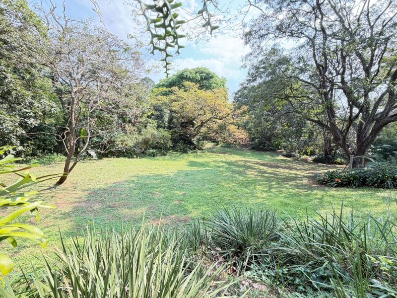 A spacious, well-established garden featuring a large lawn area surrounded by mature trees and lush greenery.