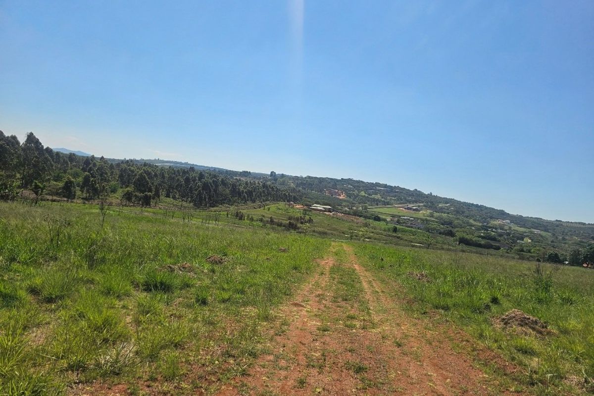 Expansive view of the farm landscape featuring a dirt track leading through open grassland and surrounding woodland.