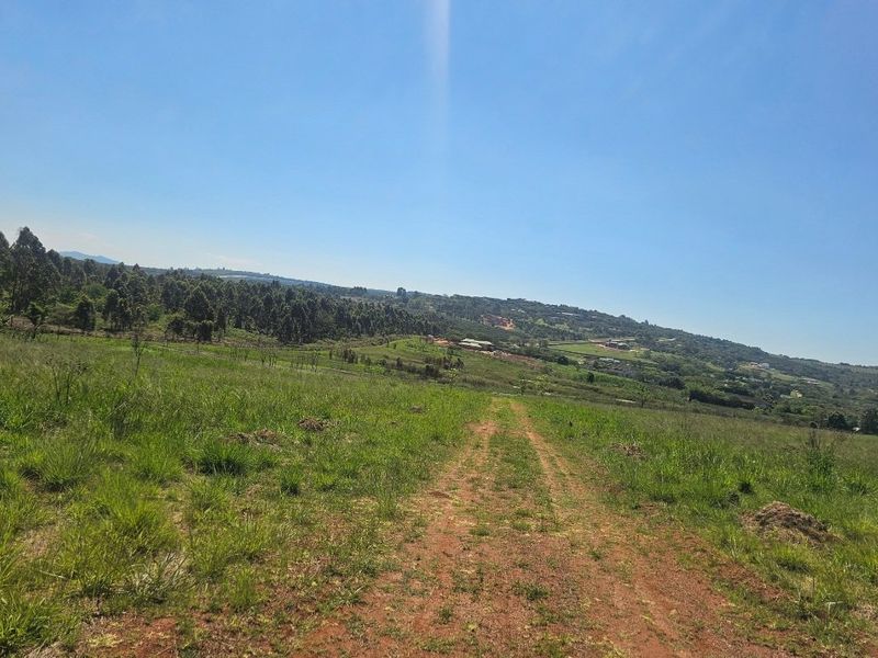Expansive view of the farm landscape featuring a dirt track leading through open grassland and surrounding woodland.