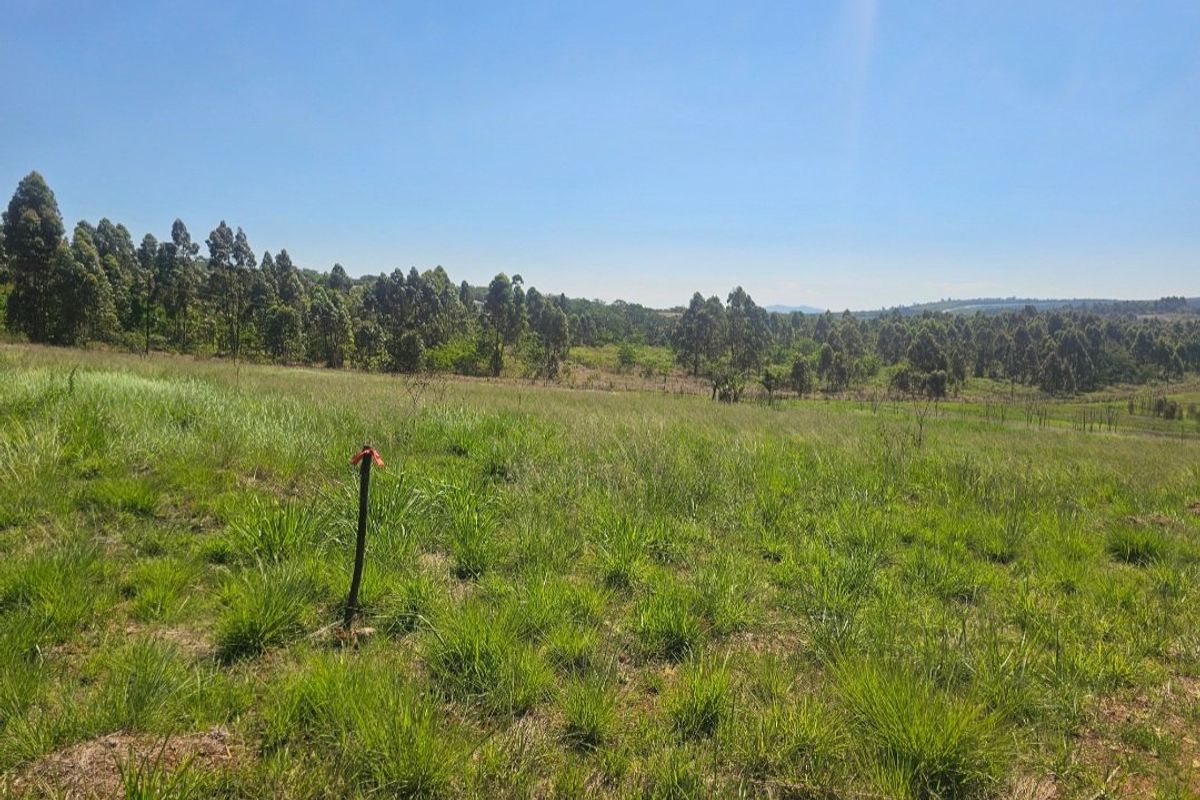 A scenic view of open grassland and surrounding woodland on the farm property.