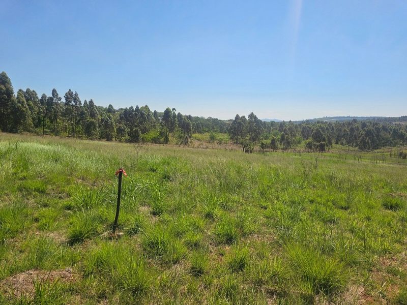 A scenic view of open grassland and surrounding woodland on the farm property.