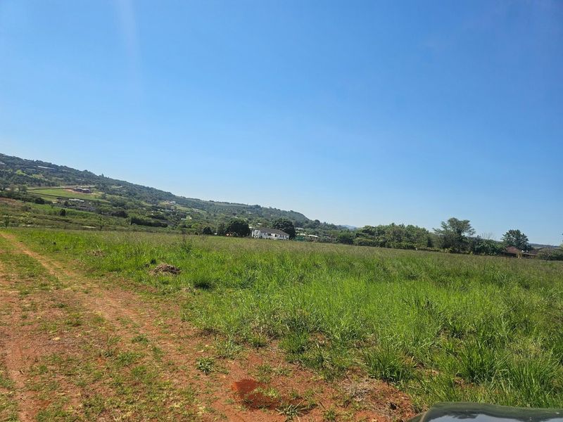 A wide-angle view of the expansive farm landscape featuring open fields, natural vegetation, and a distant farmhouse under a clear blue sky.