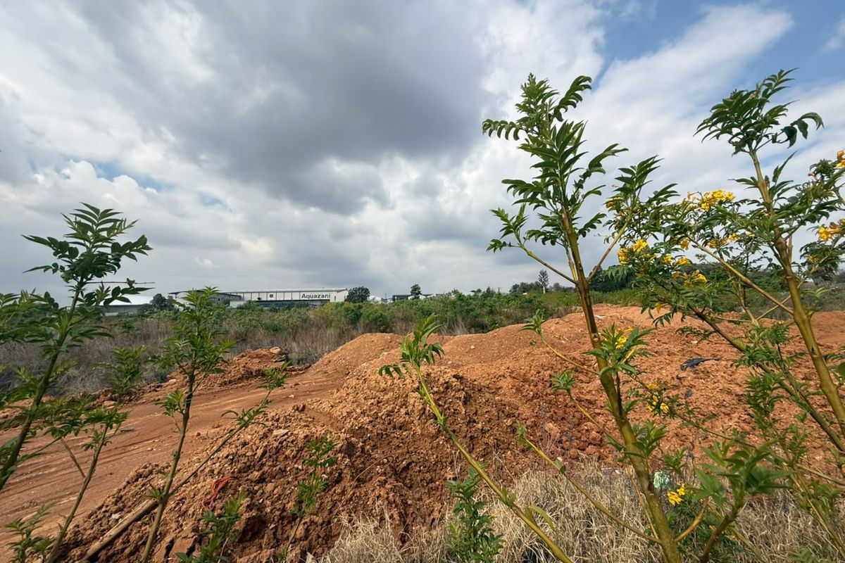 A view of an undeveloped residential plot featuring uneven earth mounds and natural vegetation under a cloudy sky.