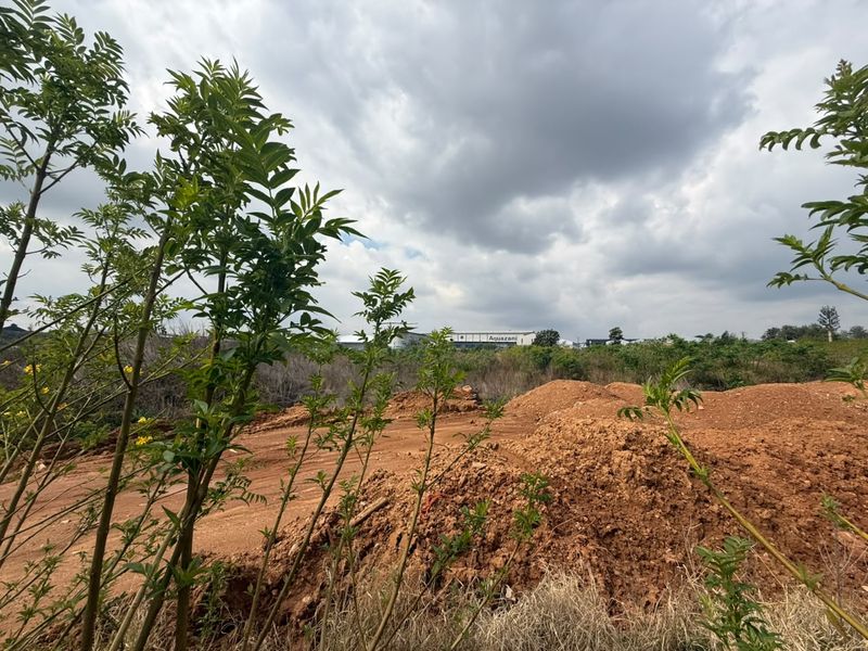 A view of a vacant residential plot featuring cleared earth and natural vegetation, ready for development.