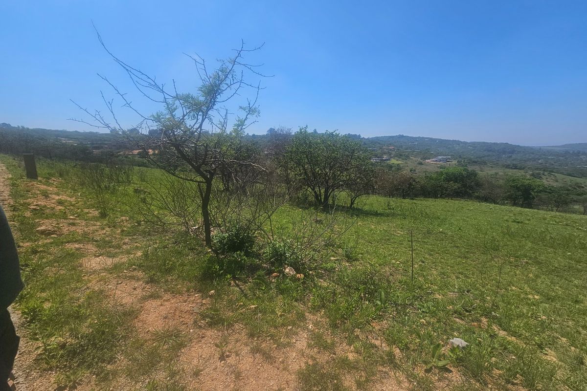 A view of the vacant residential land featuring natural vegetation and sloped terrain under a clear sky.