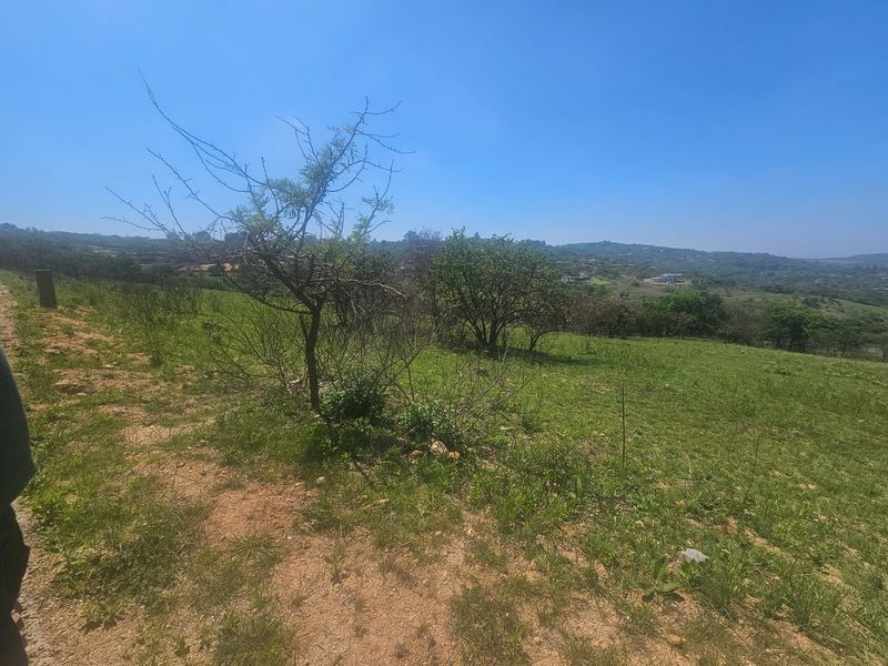 Large Stand in Wild Fig Country Estate  - Photo 2