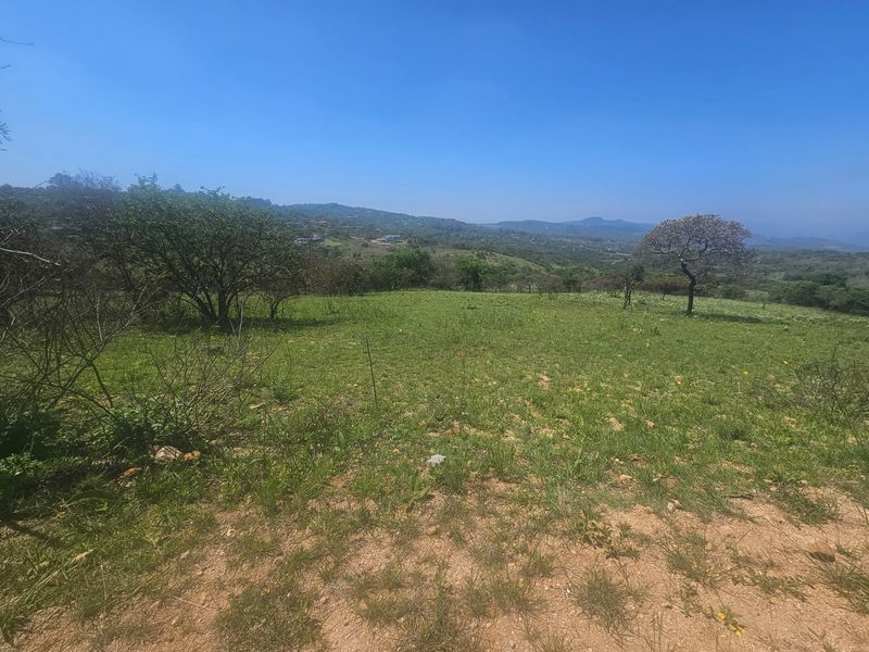 Large Stand in Wild Fig Country Estate  - Photo 3