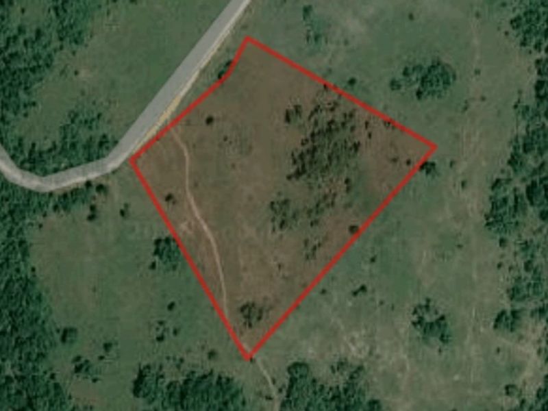 Large Stand in Wild Fig Country Estate  - Photo 4