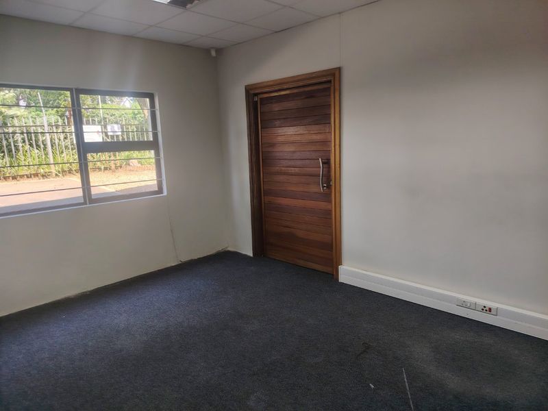 A vacant office space featuring a timber door, carpeted flooring, suspended ceiling, and large windows with security bars.