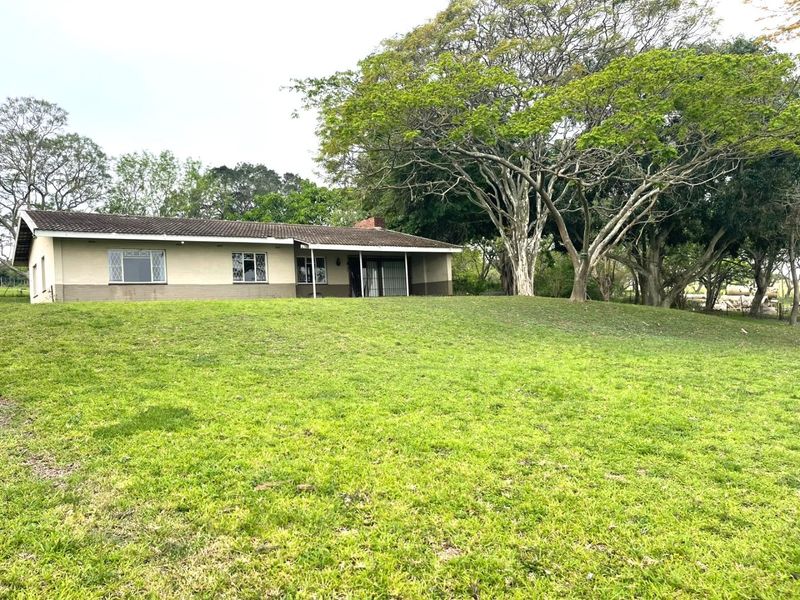 A view of the rear elevation of the house featuring a covered patio, tiled roof, and established garden surroundings.