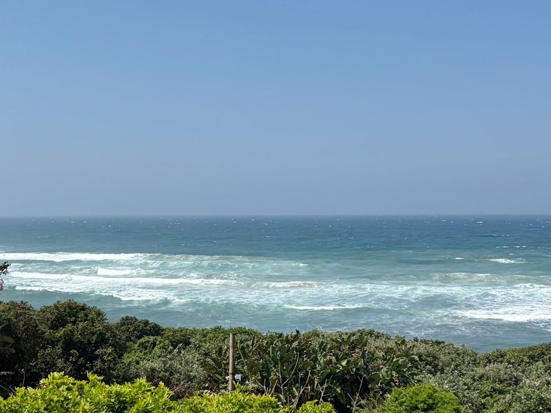 A scenic, unobstructed view of the ocean and coastal vegetation, showcasing the property's prime location.