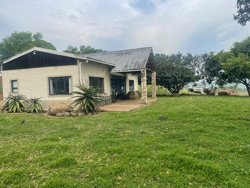 Rear view of the house featuring a covered timber patio, brick support pillars, and a corrugated metal roof set within a spacious garden.
