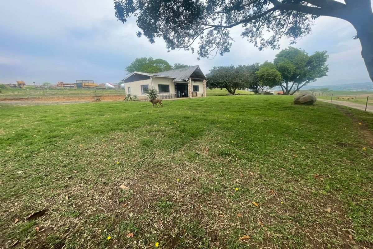 A wide-angle view of the rear exterior of the house, featuring a covered patio area and a spacious, open garden setting.
