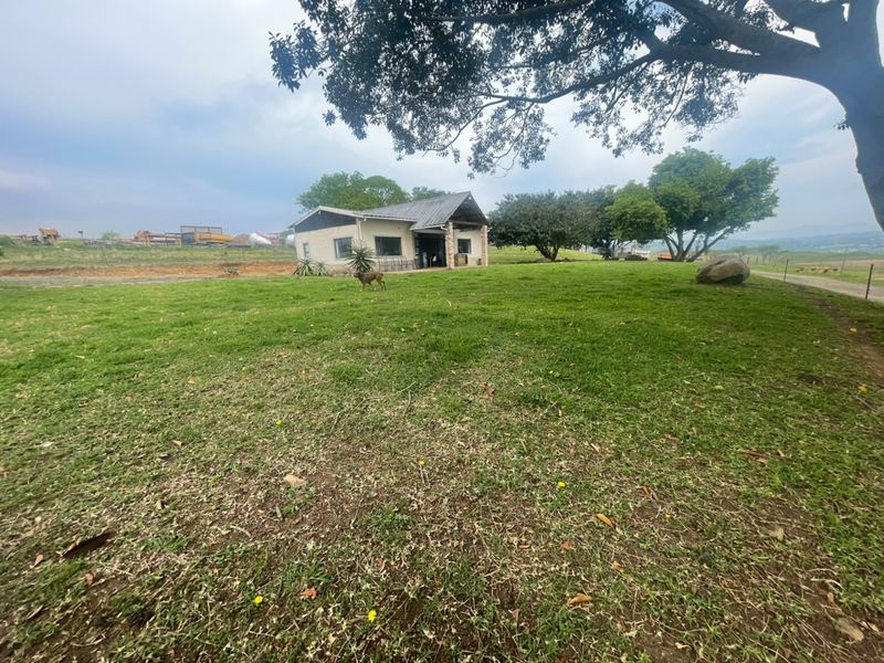 A wide-angle view of the rear exterior of the house, featuring a covered patio area and a spacious, open garden setting.