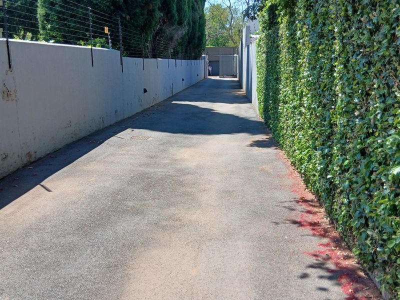 A private driveway or access path featuring a boundary wall with electric fencing and mature hedge landscaping.