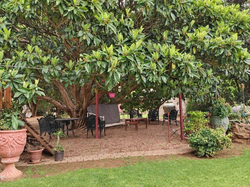 A shaded outdoor patio area situated beneath a large mature tree, featuring a gravel surface, stone retaining wall, and timber pergola structure.