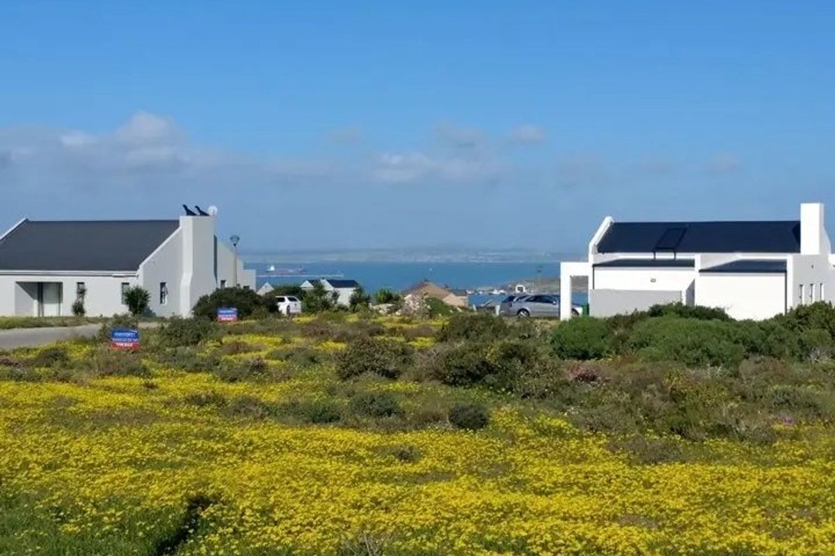 A scenic view of the coastal landscape featuring natural yellow wildflowers in the foreground with residential properties and the ocean in the distance.