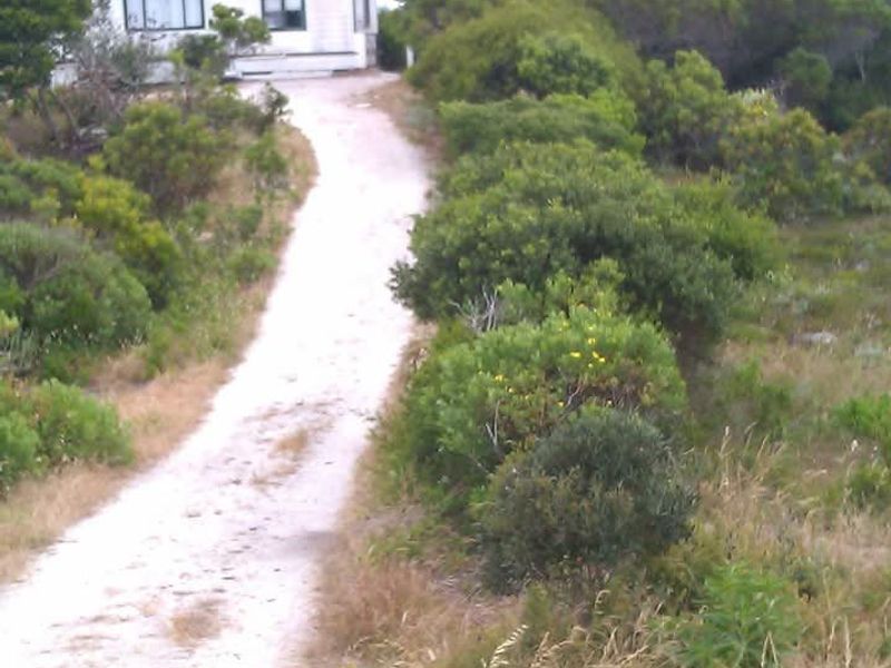 A view of the property approach featuring a gravel driveway leading to a modest farmhouse with a metal roof and established surrounding vegetation.
