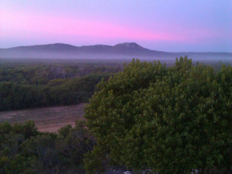 A scenic landscape view overlooking natural vegetation and distant mountains at dusk.