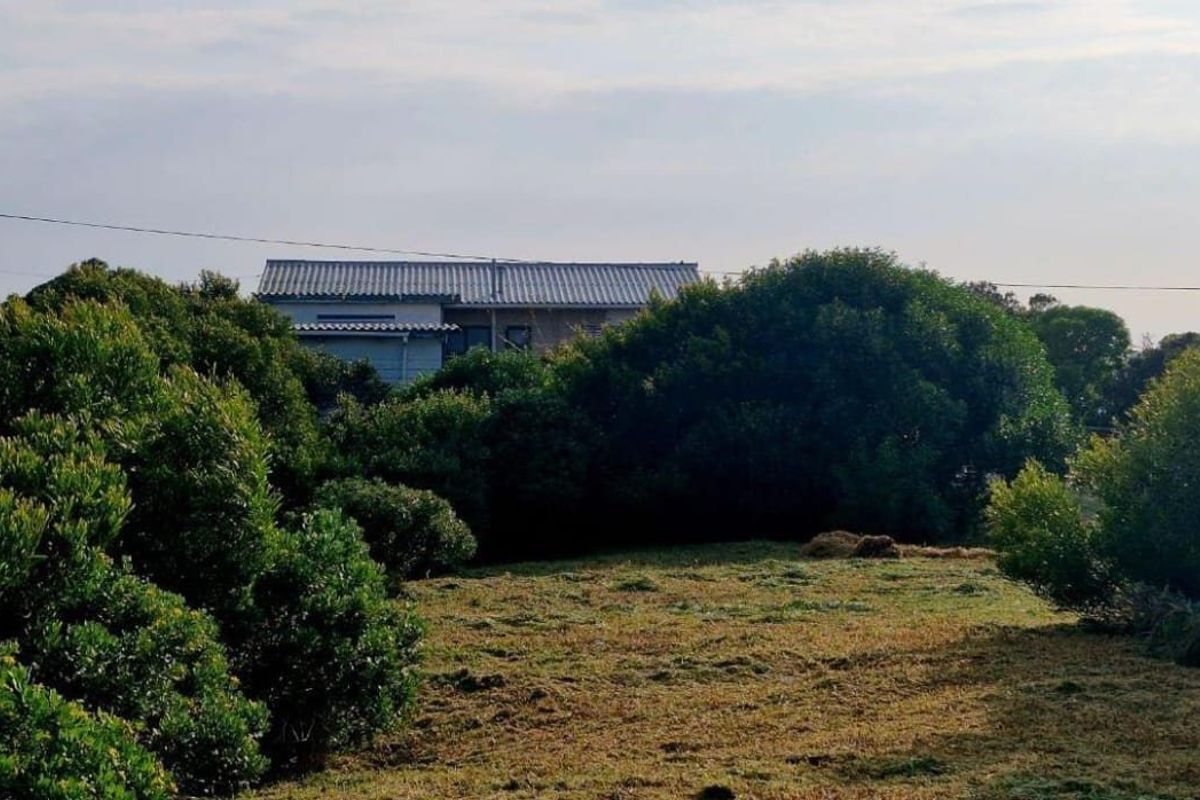 A view of the rear of the farm property, featuring a tiled roof structure surrounded by mature trees and open grassland.
