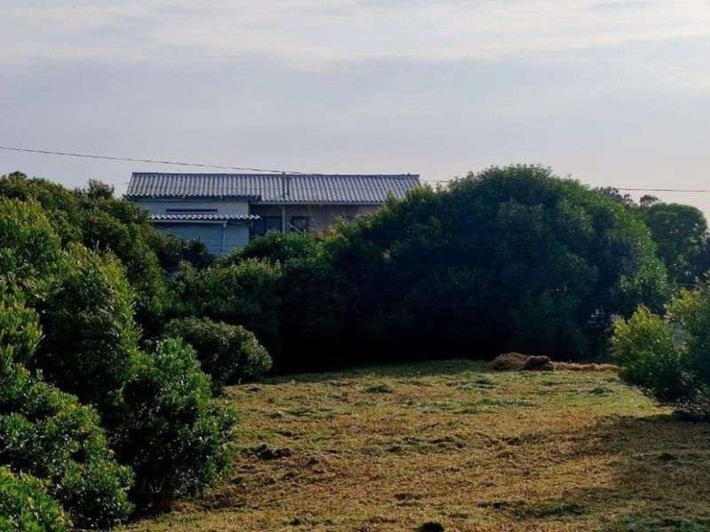 A view of the rear of the farm property, featuring a tiled roof structure surrounded by mature trees and open grassland.