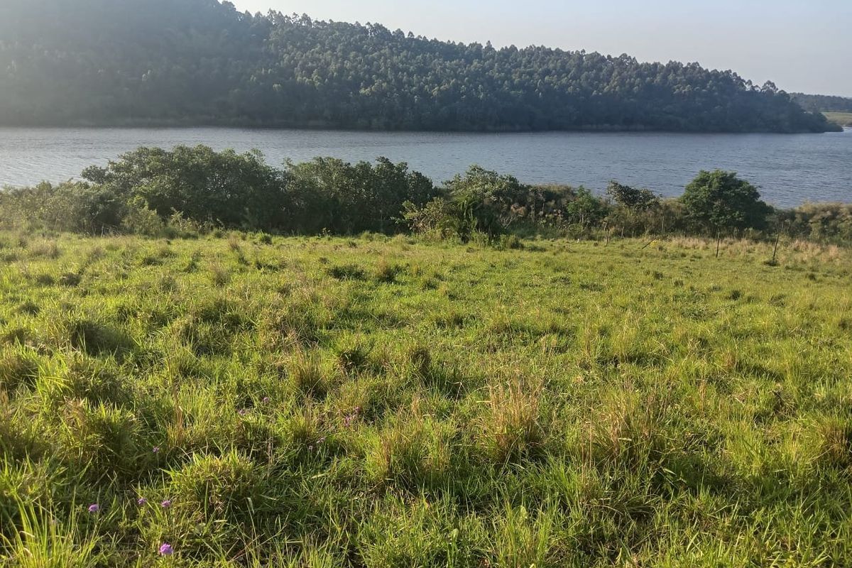 A scenic view of a grassy residential plot overlooking a tranquil lake and forested hillside.