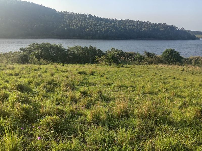 0 Bed Vacant Land in Ongoye, Empangeni Rural for Sale - Photo 5