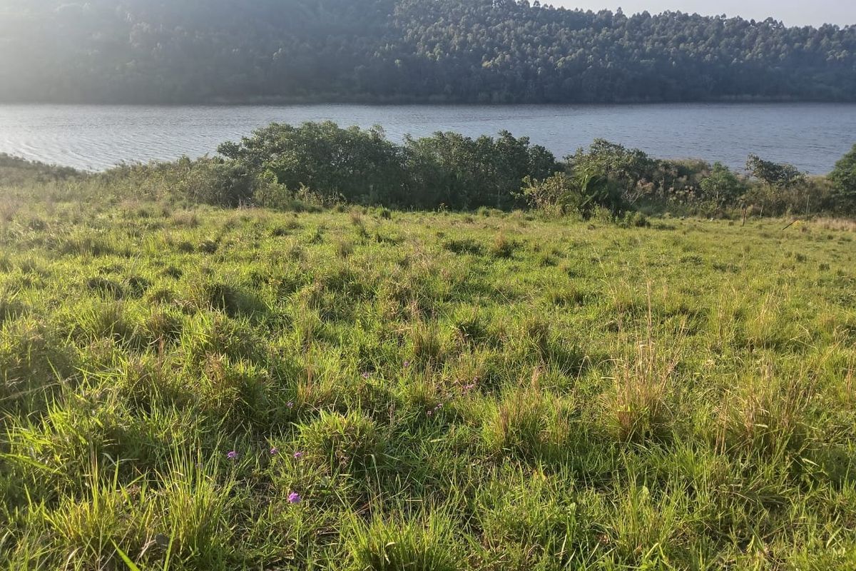 A scenic view of a grassy vacant residential plot overlooking a tranquil lake and forested hillside.