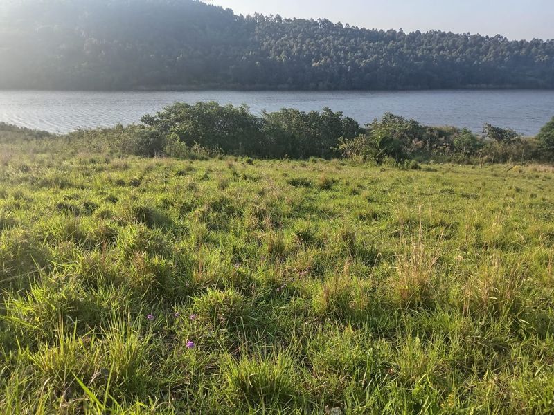 0 Bed Vacant Land in Ongoye, Empangeni Rural for Sale - Photo 3